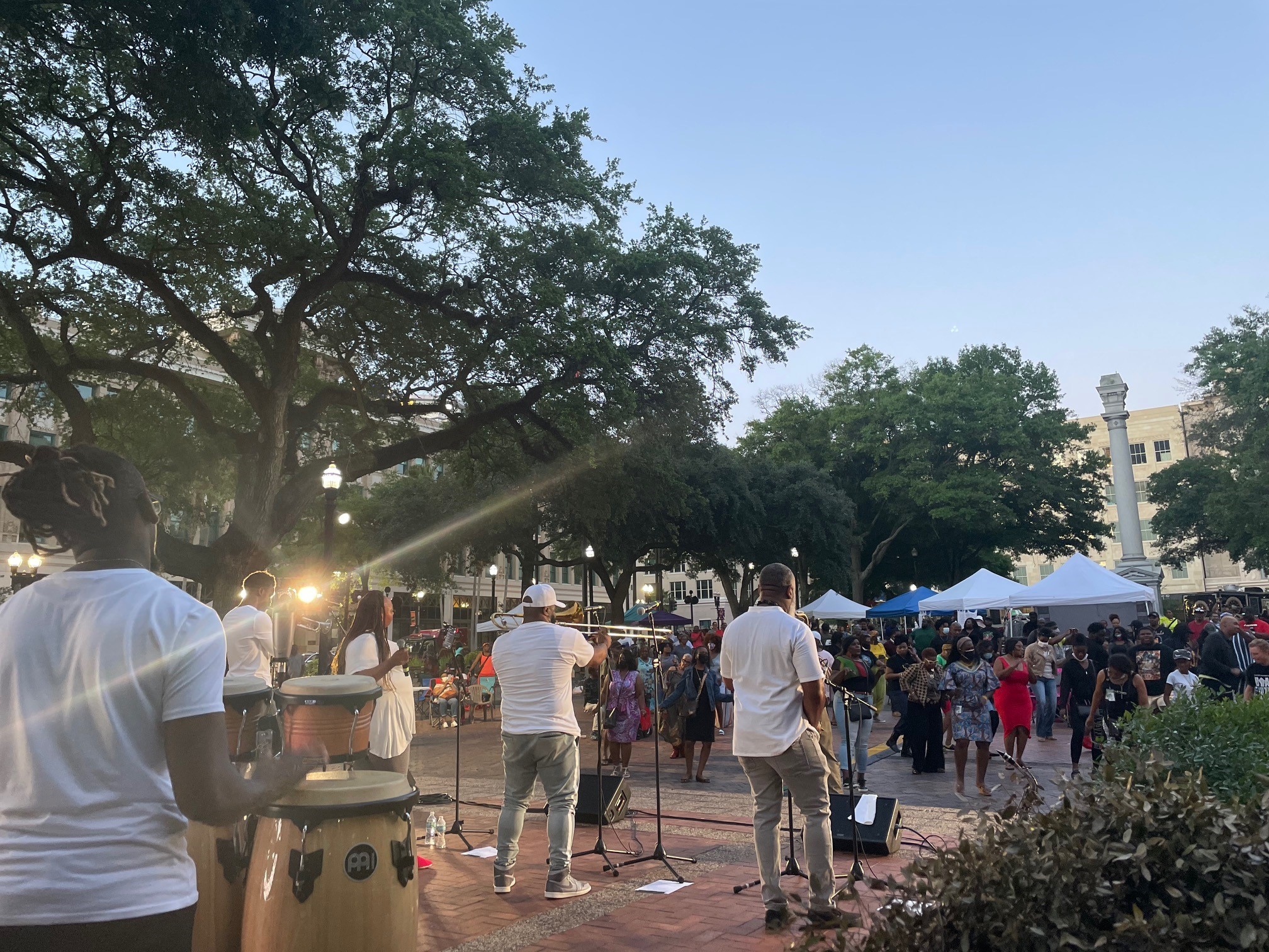 Friends of James Weldon Johnson Park Florida Professional Presenters